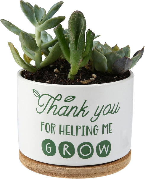 Ceramic Succulent Plant Pot - Teacher Appreciation Gift